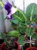 IMG_20140912_140453
