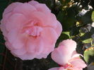 P9120848