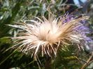 IMG_20140912_134717