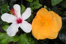 Picture 824