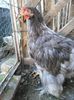 IMG_20140912_155452