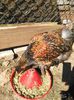 IMG_20140912_155005