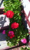 IMG_20140908_150510