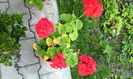 IMG_20140908_150909