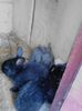 IMG_20140912_181913