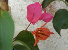 P9070073