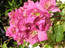 P9070091