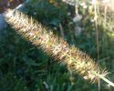 IMG_20140912_134759