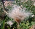 IMG_20140912_135118