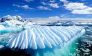 antarctica_2642820b