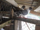 DSCN0497