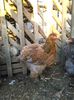 IMG_20140912_190855