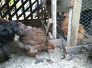 IMG-20140816-WA0039