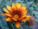 IMG_20140910_185622