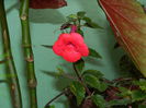 DSCN8873