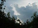DSCN8880