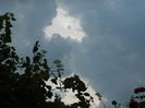 DSCN8884