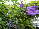 DSCN8886