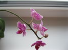 IMG_5797