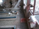 Picture 3916