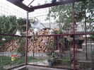 Picture 3917