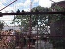 Picture 3918