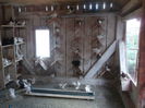 Picture 3920