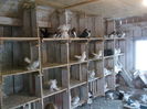 Picture 3922