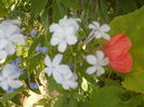 DSCN8628