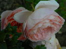 Abraham Darby