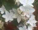 SUNP0034