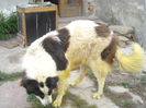 DSCN1272