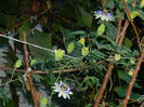 DSCN8975