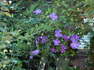 DSCN8976