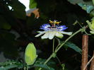 DSCN8977