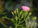DSCN8986