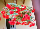 DSCN4679_012