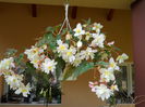 DSCN4680_013