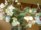 DSCN4681_014