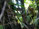 2014_08080083