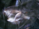 2014_08080084