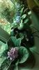 WP_20140916_08_47_23_Pro