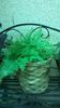 WP_20140916_10_10_55_Pro