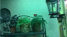 WP_20140916_10_11_11_Pro