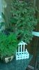 WP_20140916_10_11_44_Pro