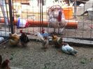 2014-07-25 09.46.00