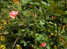 DSCN9038