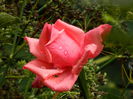 DSCN9039