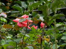 DSCN9043