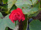 DSCN9046